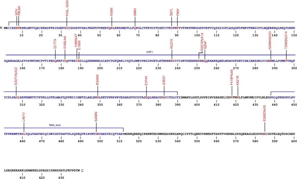 639 amino aid sequence for the poly(A)-specific ribonuclease
