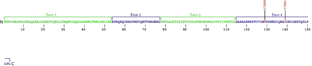 153 amino acid sequence for Nhp2 protein