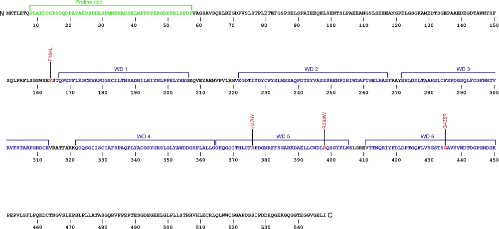 548 amino aid sequence for telomerase Cajal body protein 1