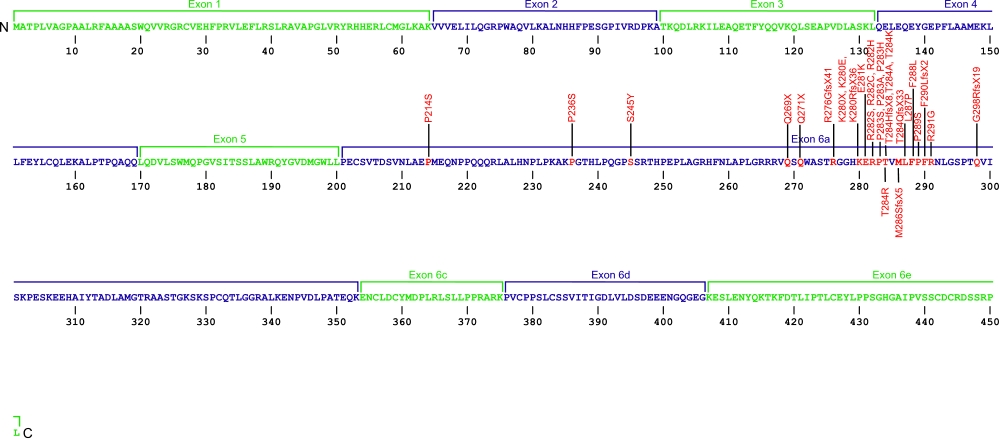 451 amino acid sequence for TIN2 protein