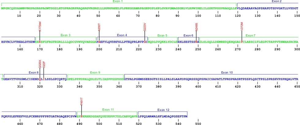 544 amino acid sequence for TPP1 protein with the 12 exons