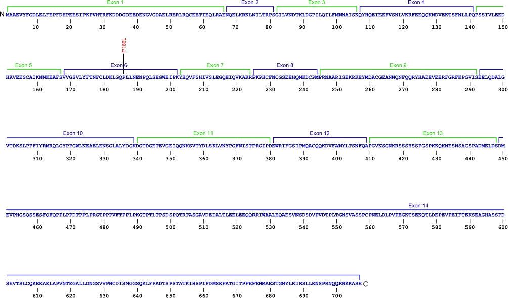 707 amino acid sequence for the ZCCHC8 protein with the 14 exons