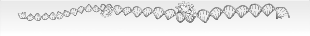 Gray DNA-type strand
